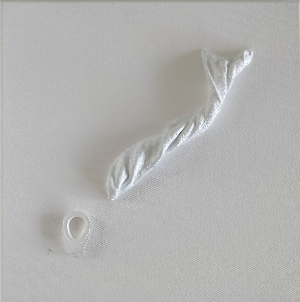 white canvas with 3d shape that looks like a fish and an empty contact lens also painted white
