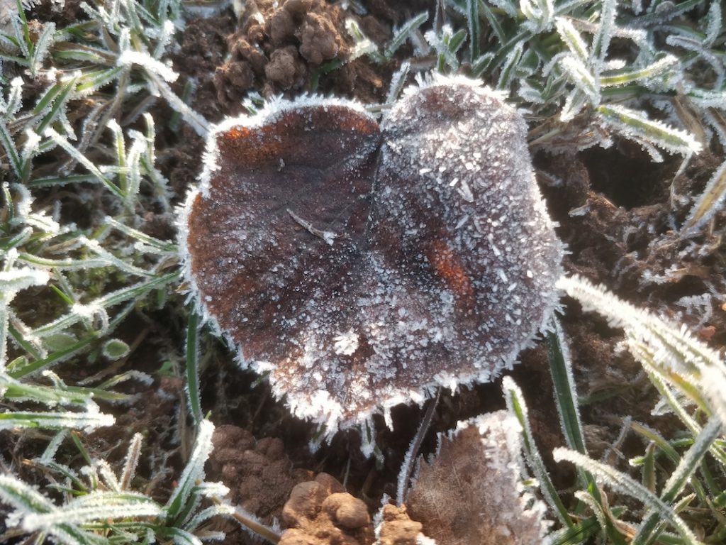 Words as magic spells healing the nervous system through self-compassion