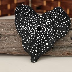 The Cosmic Origin Heart